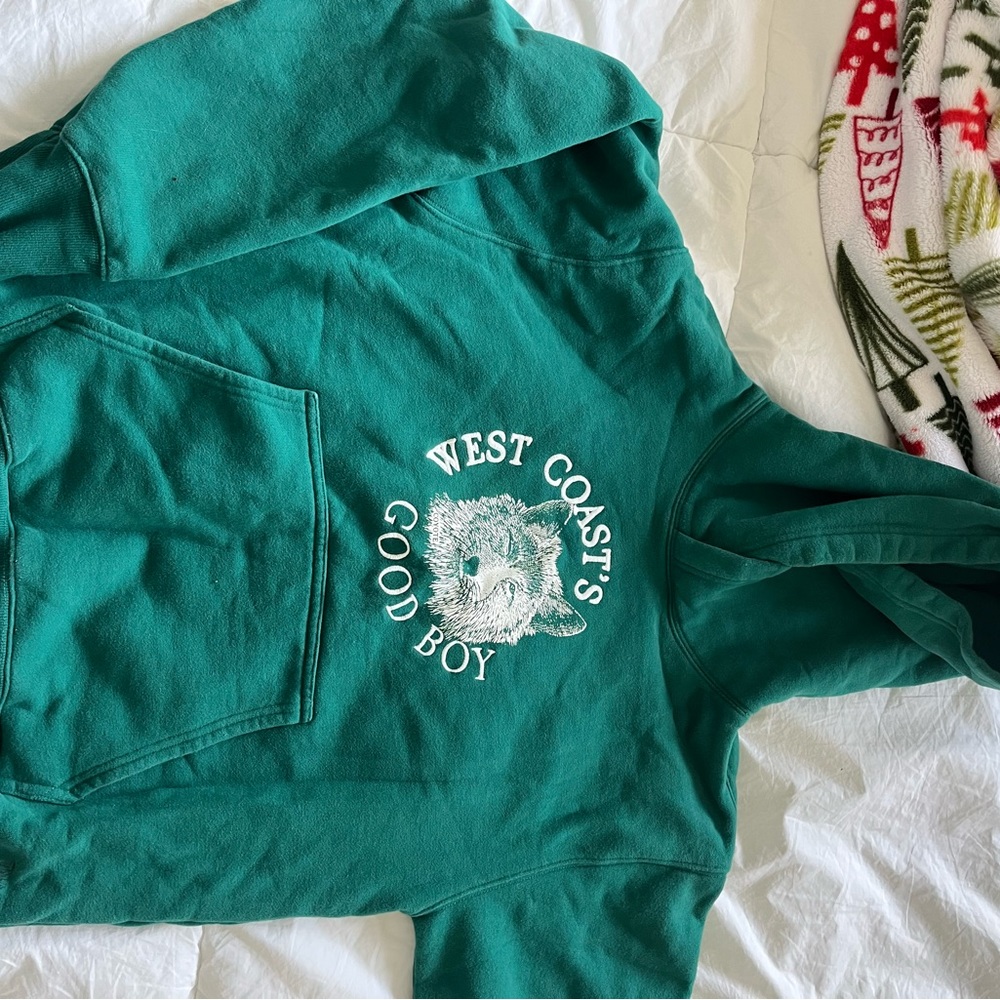 COPY - Aritzia cozy, fleece perfect hoodie